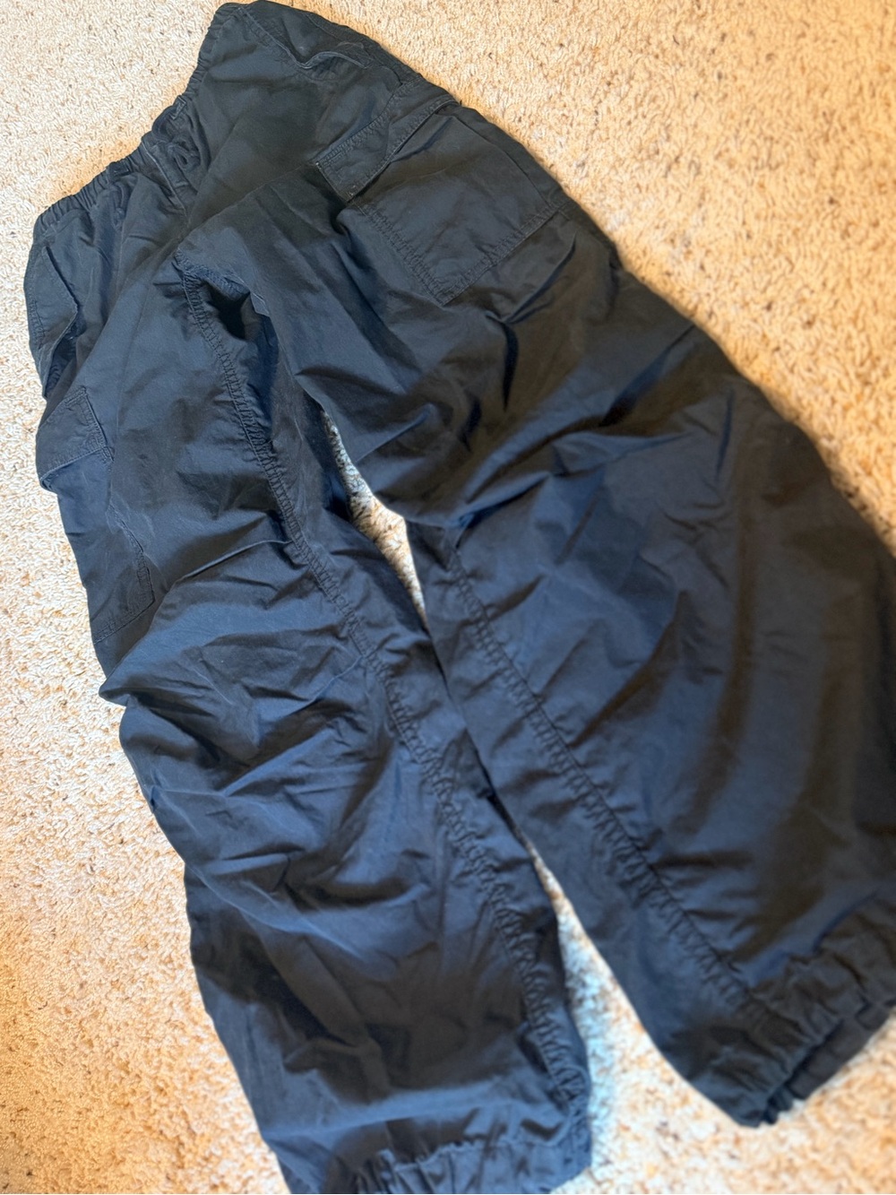 Women’s TNA Artizia Black Cargo Pants